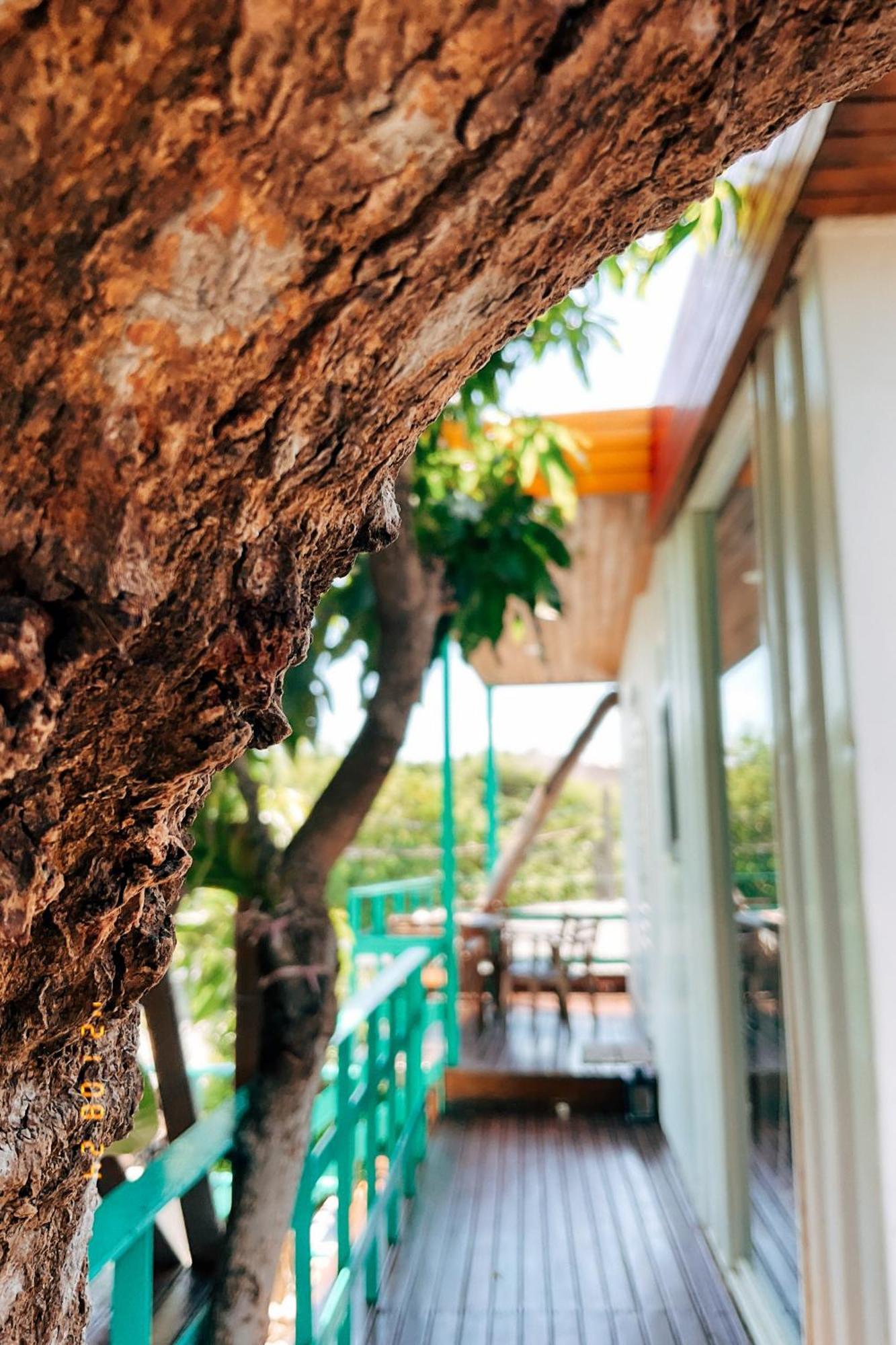 Little Ryukyu Hermit Crab Homestay Сяолюцю Екстер'єр фото